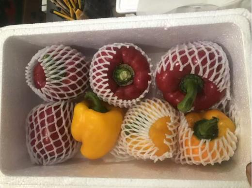 彩椒一箱 商品图0