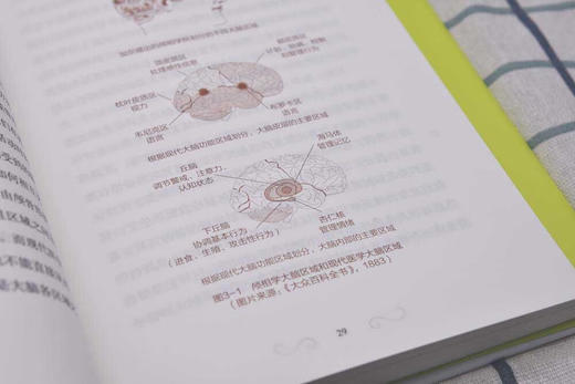 弯曲你的大脑 商品图8