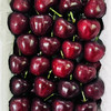 大连樱桃  5J 精品大连樱桃礼盒 一件约2斤【包装随机发】 商品缩略图4