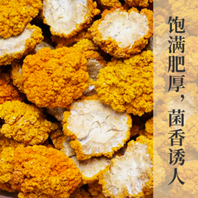 云南干金耳 香滑软糯 肉质Q弹 易出胶质 煲汤鲜香 云南原产地 高原好品质   煲汤滋补送礼佳品