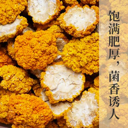 云南干金耳 香滑软糯 肉质Q弹 易出胶质 煲汤鲜香 云南原产地 高原好品质   煲汤滋补送礼佳品 商品图0