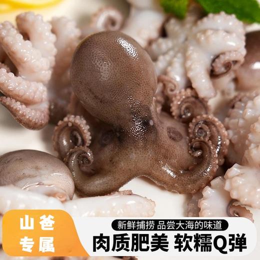 小章鱼｜新鲜八爪鱼 300g/袋 鲜活冷冻小章鱼迷 你短腿八爪鱼【不花心】 商品图0