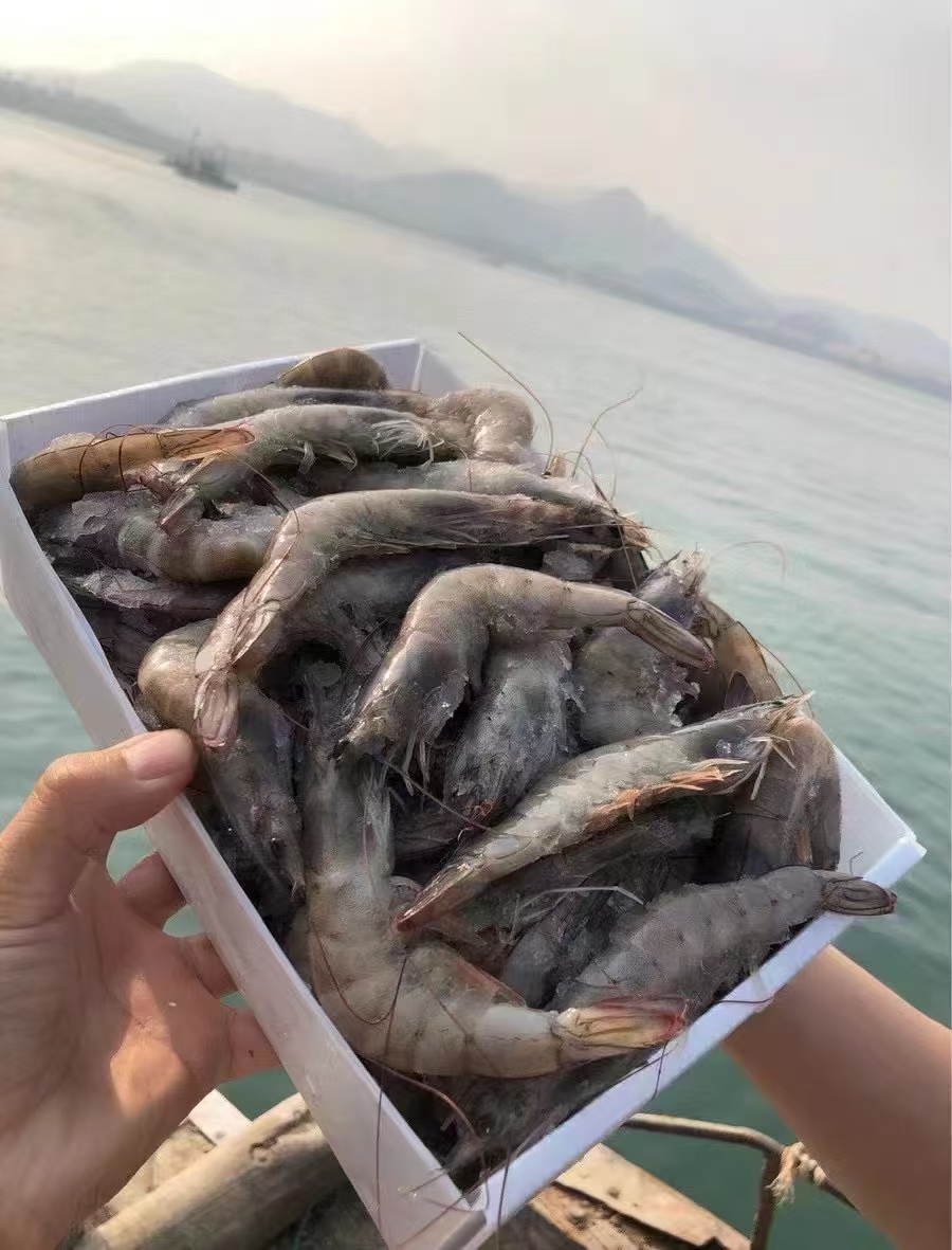 【生鲜-口碑爆款】青岛盐冻大虾净重3.4斤 国产青岛大虾 青岛直发 顺丰京东包邮 多规格选择 {冷冻生鲜食品请及时签收}48-72小时发货 勿催单