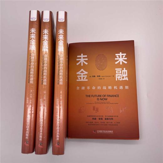 未来金融：金融革命的战略机遇期（精装典藏版） 商品图4
