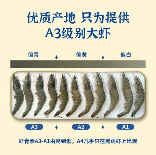 【下单后48小时发货】印尼生态 熟冻虾500g*2盒 商品图7
