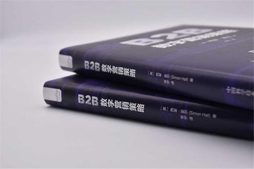 B2B数字营销策略：全链条解析数字营销的实操指南（精装典藏版） 商品图2