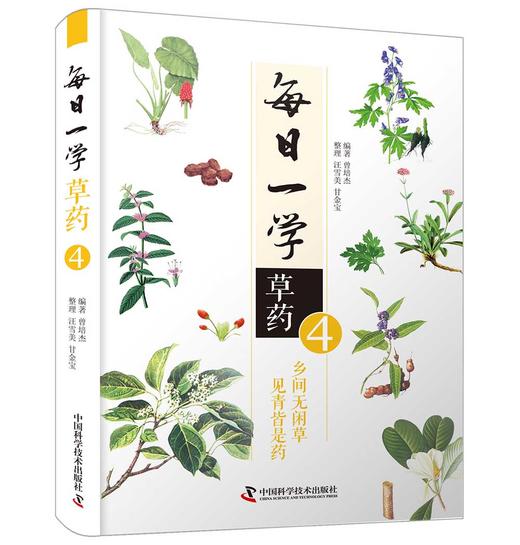 每日一学草药④ 商品图0