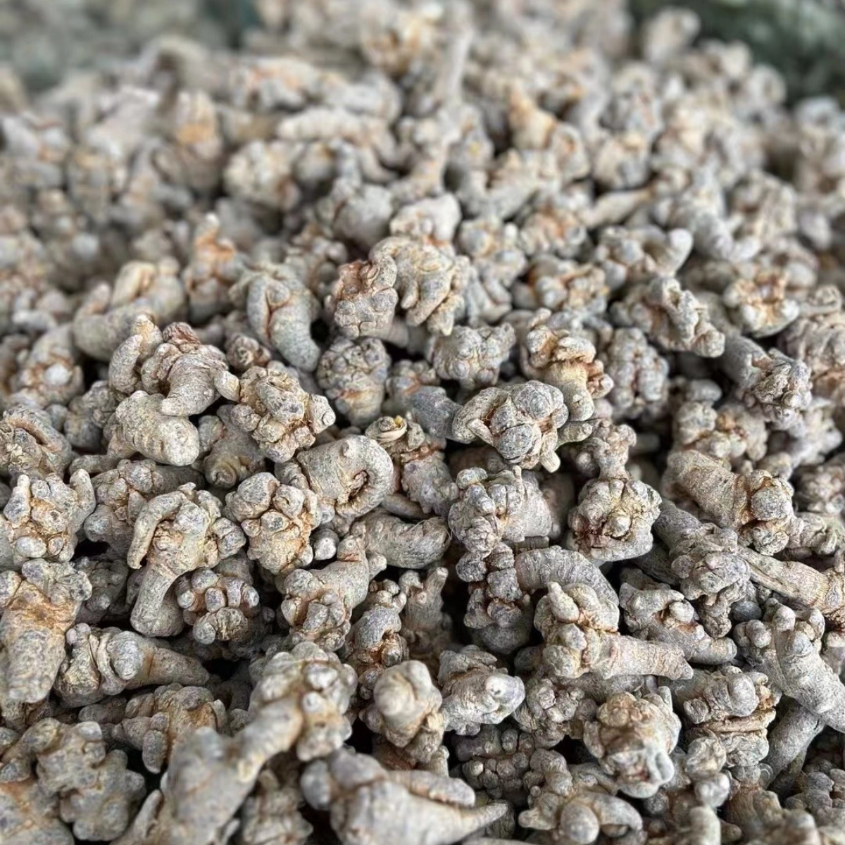 菜头商城 云南文山三七 250克/500克