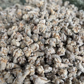 菜头商城 云南文山三七 250克/500克