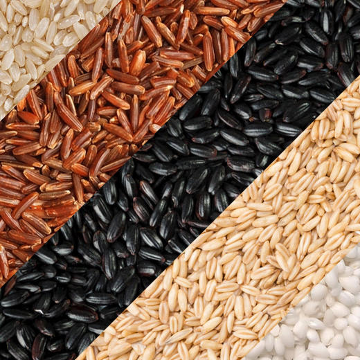 【贵州帮扶】科誉 五色米 2.5kg 商品图1