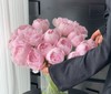 女神节预售德邦包邮芍药 | 佩尔【2月28日开始发货，请备注发货时间】 商品缩略图0