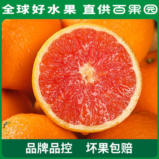 PAGODA百果园 中华红橙（小）5斤彩箱装 商品图1