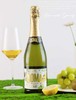 西班牙多玛白起泡葡萄酒 10.5度高泡型半干葡萄酒 整箱750ml*6瓶包邮 商品缩略图3