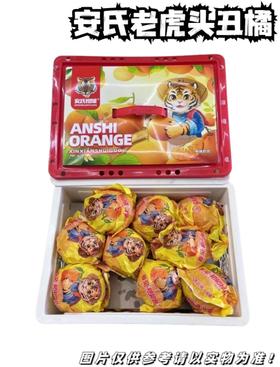 安氏虎头丑橘