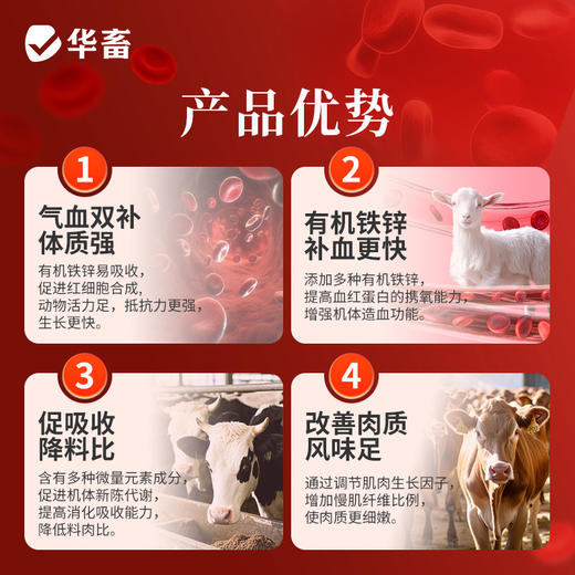 气血健1kg 气血双补 有机铁锌 吸收率高 改善肉质蛋质 商品图3