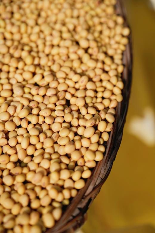 助农团购，5斤49.9云南高山农家自种非转基因小黄豆山地小黄豆香味足手工挑拣每一颗都是精选基地直邮 商品图2