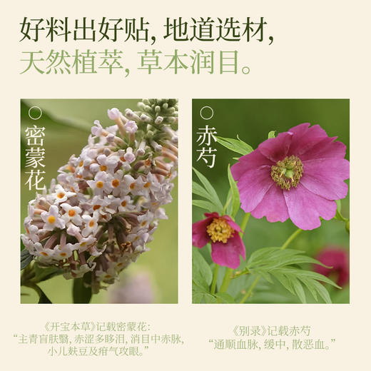 【真不二】新品赤芍密蒙花眼贴天然植萃草本儿童护眼舒缓润目 8贴/盒（3岁及以上可用） 商品图4