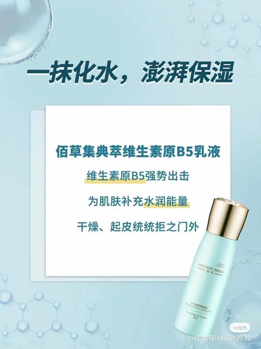 佰草集典萃维生素原b5保湿乳液100ml(效期2026.1.24) 商品图1
