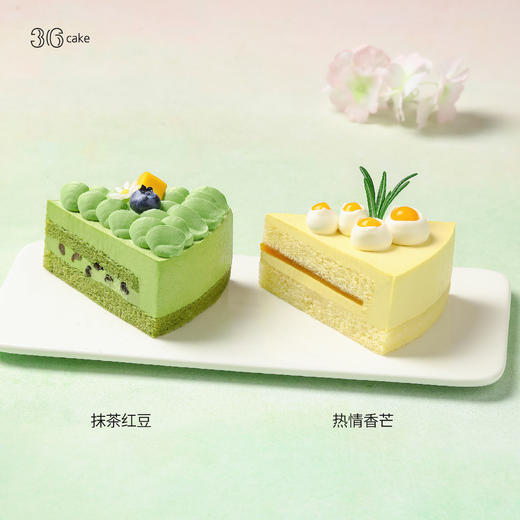 四季圆舞曲，可选 8英寸 商品图3