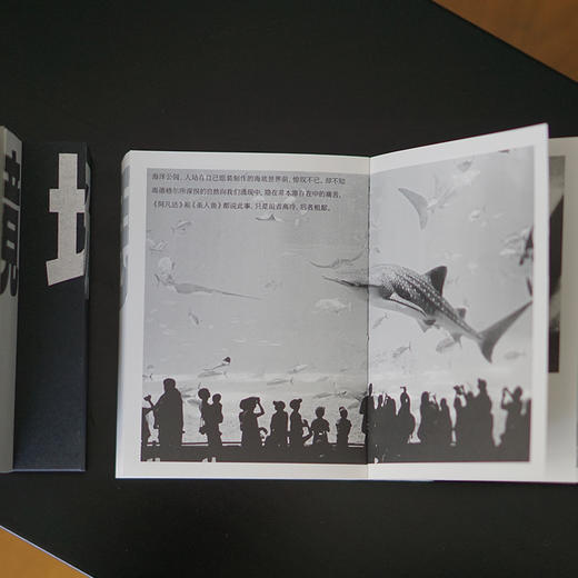 场·境·思：张一兵哲学絮语   张一兵 著 商品图7