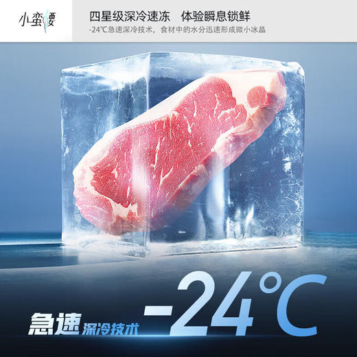 400升 超薄法式多门冰箱 BCD-400WPEG7S 商品图7