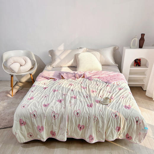 【XIAOKISS】NBIO享眠植萃驱蚊凉爽纤柔被pro2.0 商品图7