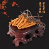 热卖【林下山参虫草礼盒装】长白山人参林下山参虫草礼盒装深山密林生长人参15g虫草2g 商品缩略图2