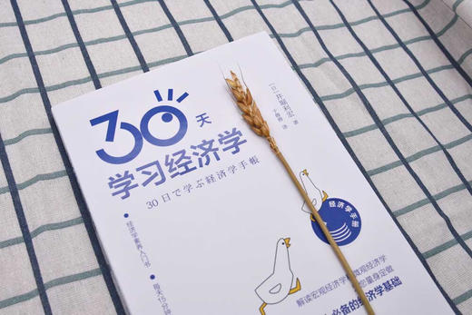 30天学习经济学 商品图8
