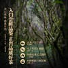 正山堂岩语 百野老枞水仙 武夷岩茶特级茶叶正宗中火乌龙茶品鉴装8g 商品缩略图2