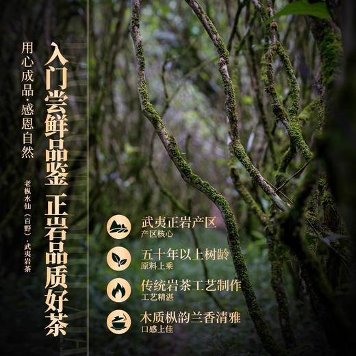 正山堂岩语 百野老枞水仙 武夷岩茶特级茶叶正宗中火乌龙茶品鉴装8g 商品图2