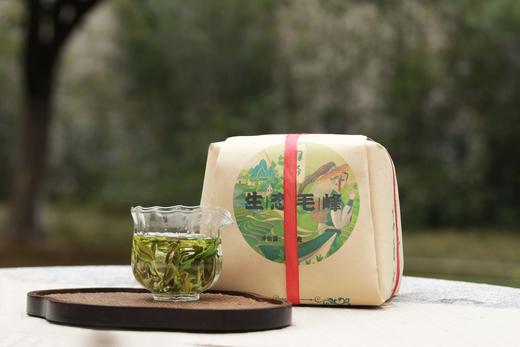 2025年 生态毛峰  云南西双版纳 普安头春绿茶 200g  买一送一  口口兰香！ 商品图1