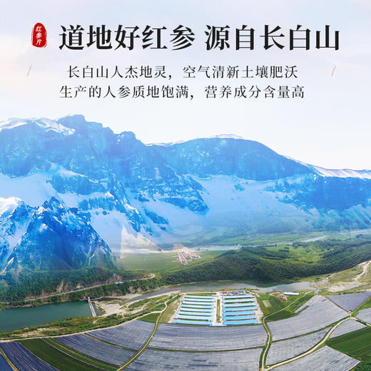 康美新开河红参片100g/盒 6年老参斜切大片高皂苷泡水泡茶煲汤送礼 商品图9