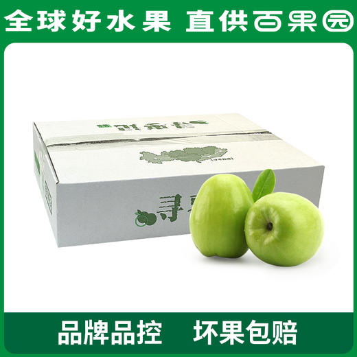 PAGODA百果园 牛奶青枣30粒彩箱装（单果重≥50g） 商品图3