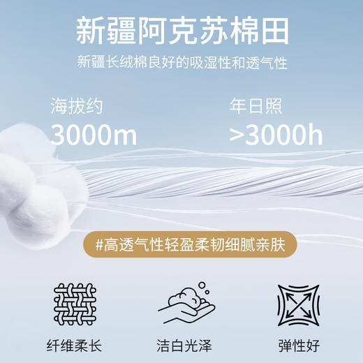 【柔感六号】斯托尔横机长绒棉拉链半开针织POLO衫255Y0P917S 商品图4