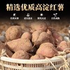 【13.9抢❗️农家手工红薯粉条】河南农家特产手工无添加地瓜粉，甄选品质原料制作，采用新鲜个大皮薄鲜薯，红薯粉条红薯粉地瓜粉，5斤细粉粉丝L 商品缩略图1