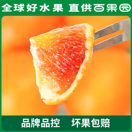 PAGODA百果园 万州玫瑰香橙（大）10斤礼盒装 商品图1