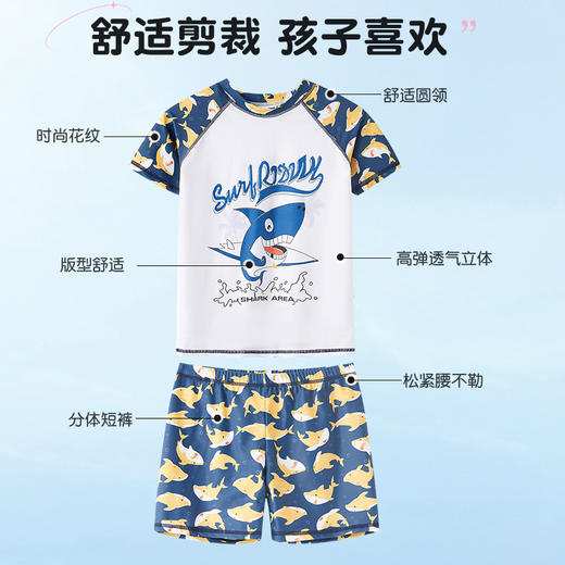 儿童泳衣卡通海豚印花泳衣分体款男童中大童泳衣套装宝宝泳衣XL-6XL 商品图1