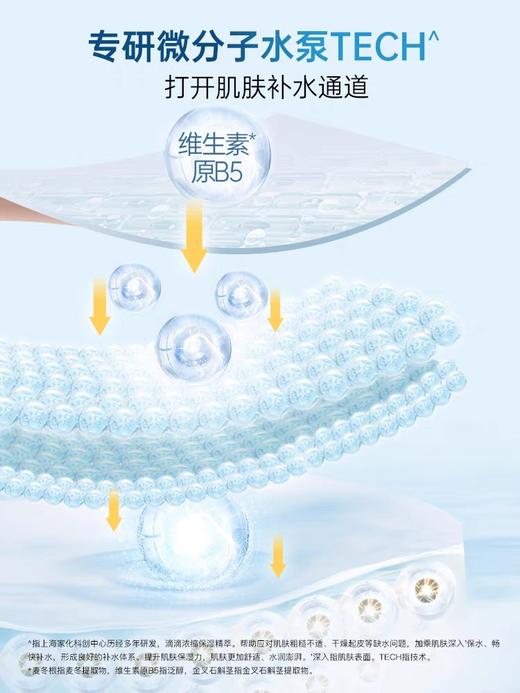 佰草集典萃维生素原b5保湿霜积雪草舒缓补水保湿修护霜面霜50ml(效期2026年1月) 商品图3