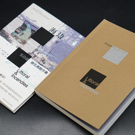 海边：瓦日迪·穆瓦德剧作集 （守望者·戏剧） 商品图3