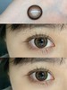macycon月抛美瞳 圆脸兔叽 14.5mm 商品缩略图0