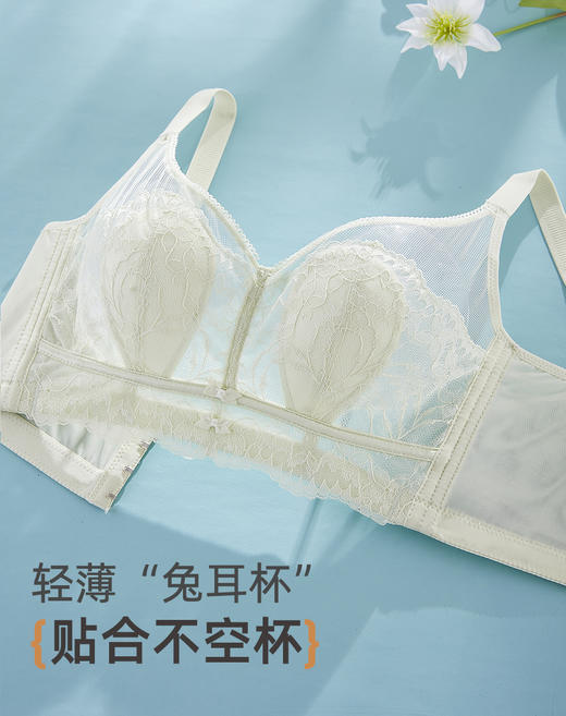 雅黛俪春夏文胸新款轻薄大胸显小性感蕾丝透气胸罩收副乳防下垂内衣 商品图0