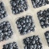 晴山蓝莓 商品缩略图2