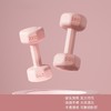 【春艺】女士哑铃 健身手臂瑜伽家用儿童训练小哑铃-C仓 商品缩略图2