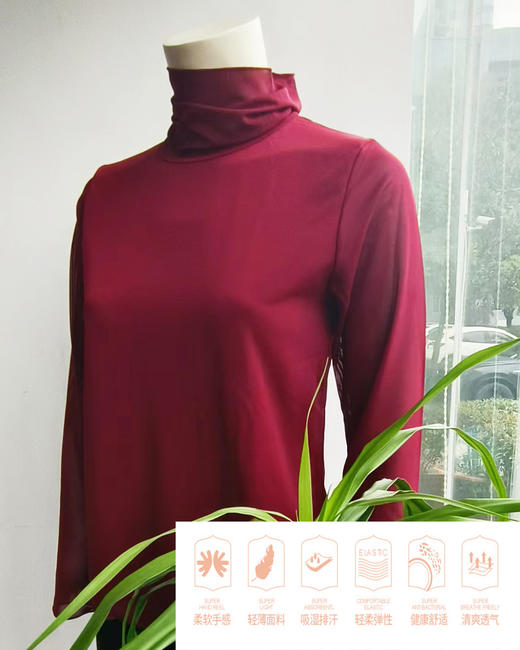 Y017女式网纱高领打底衫 商品图0