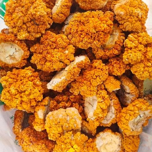 云南干金耳 香滑软糯 肉质Q弹 易出胶质 煲汤鲜香 云南原产地 高原好品质   煲汤滋补送礼佳品 商品图3