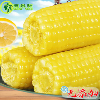 玉米神黄糯玉米棒8根≥1800g/3.6斤粘香软糯东北代餐无添加非转基因粗粮 /粮油调味 /杂粮 /谷米类 商品图1