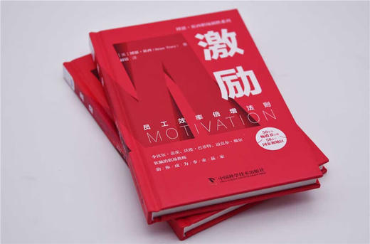 激励：员工效率倍增法则  博恩·崔西职场致胜系列丛书（精装典藏版） 商品图6