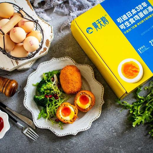 黄天鹅可生食鸡蛋30枚 1.59kg 商品图9