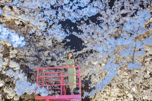 2025夜场单人票39.9（仅17:00-20:00可用） 商品图2