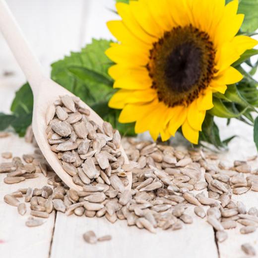 玺丰收葵花籽油5L/桶 商品图4